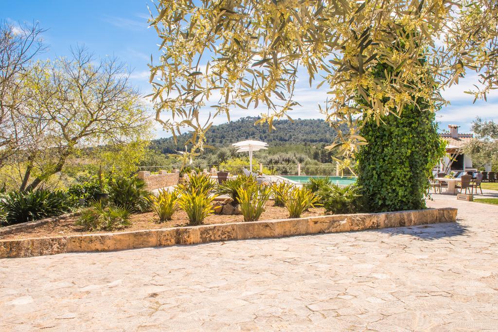 Agroturismo Son Burgues Petra  Exterior photo